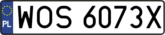 WOS6073X