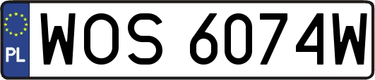 WOS6074W