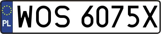 WOS6075X