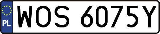 WOS6075Y