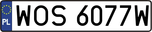 WOS6077W
