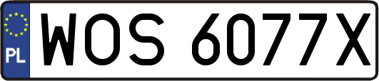WOS6077X