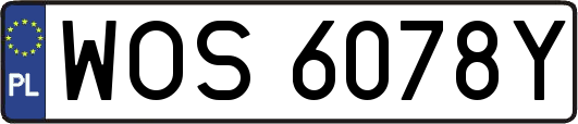 WOS6078Y