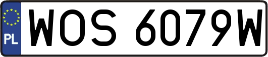 WOS6079W