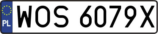 WOS6079X
