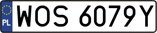WOS6079Y