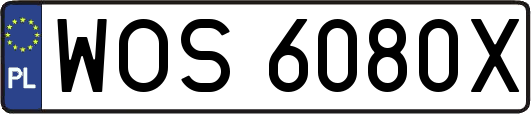 WOS6080X