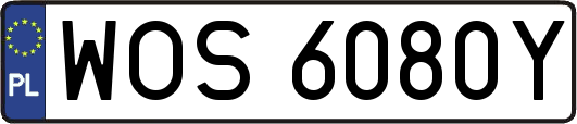 WOS6080Y