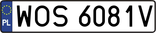 WOS6081V