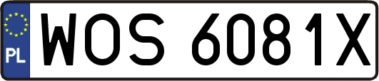 WOS6081X
