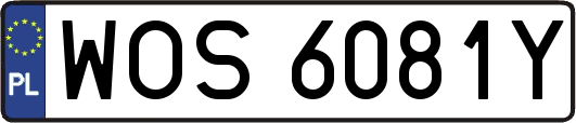 WOS6081Y