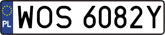 WOS6082Y