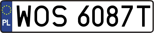 WOS6087T