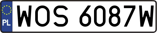WOS6087W