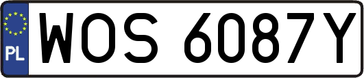 WOS6087Y