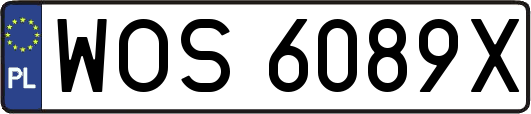 WOS6089X