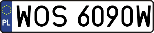 WOS6090W