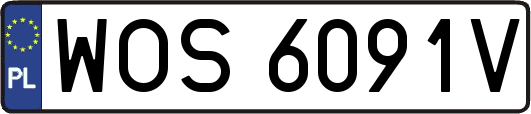 WOS6091V