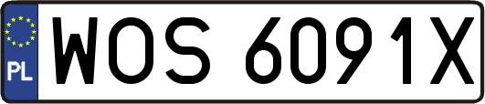 WOS6091X