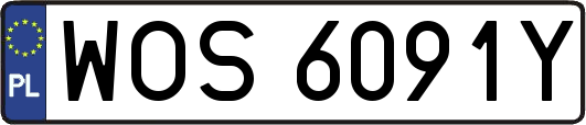 WOS6091Y
