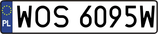 WOS6095W