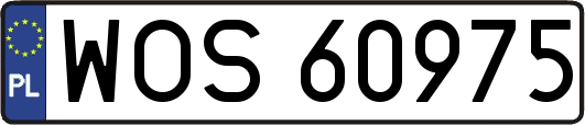 WOS60975