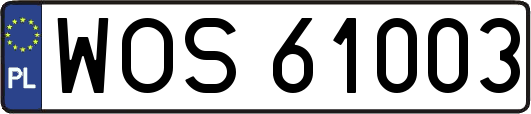 WOS61003