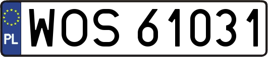 WOS61031