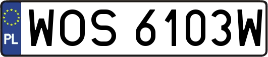 WOS6103W