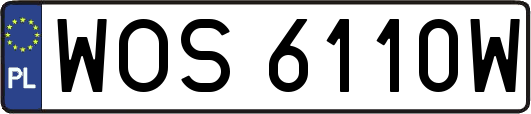 WOS6110W