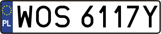 WOS6117Y