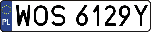 WOS6129Y