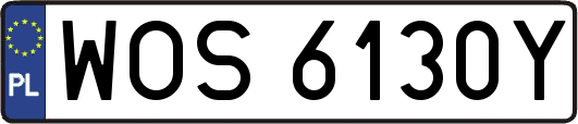 WOS6130Y