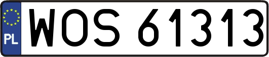 WOS61313