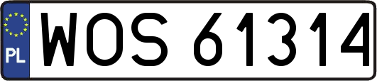 WOS61314