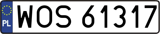 WOS61317
