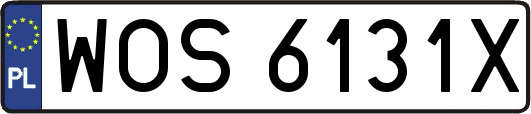 WOS6131X