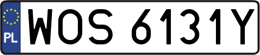 WOS6131Y
