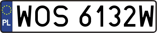 WOS6132W