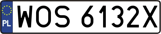 WOS6132X