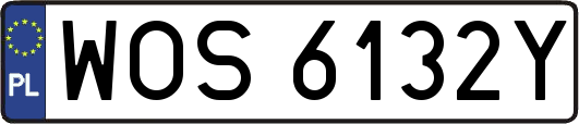 WOS6132Y