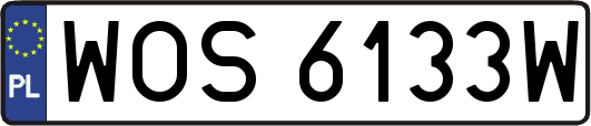 WOS6133W