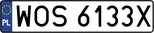 WOS6133X