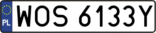 WOS6133Y