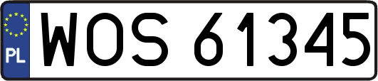 WOS61345