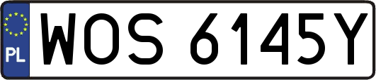 WOS6145Y