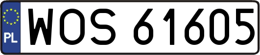 WOS61605