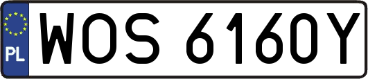 WOS6160Y