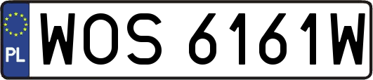 WOS6161W