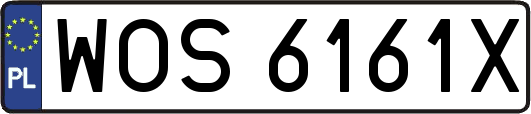 WOS6161X